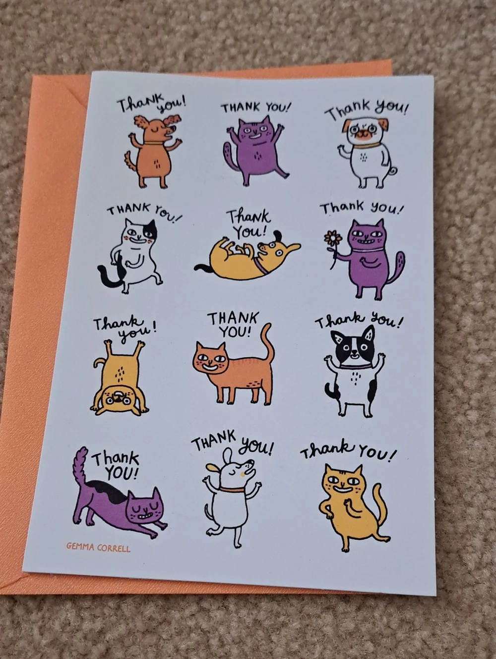 Thank You Cat Card – Orange, Purple, Yellow Designs